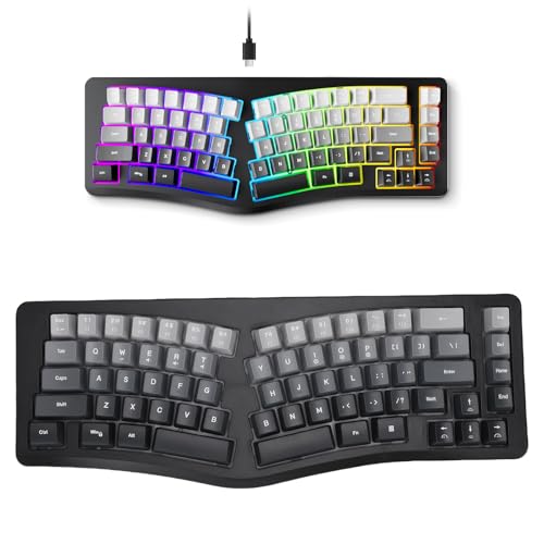 VELATEMOR USB -Kabel -Ergonomie -Tastatur, 69 Tasten Ruhige Tastatur mit RGB -Hintergrundbeleuchtung, 7 Farben Mechanisches Gefühl Gaming -Tastatur VELATEMOR USB -Kabel -Ergonomie -Tastatur, 69 Tasten Ruhige Tastatur mit RGB -Hintergrundbeleuchtung, 7 Farben Mechanisches Gefühl Gaming -Tastatur von VELATEMOR