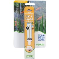 Velda Algenvernichter UV-C Ersatzlampe PL-Lampe 7 Watt 126610 Velda Algenvernichter UV-C Ersatzlampe PL-Lampe 7 Watt 126610 von VELDA