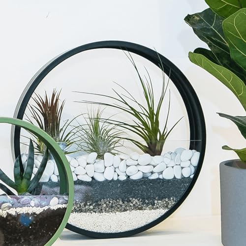 Steine Kleine Kieselsteine Weiße Dekosteine für Vasen - Deko Aquarium Steine Weiß Kiesl zum Basteln Zierkies Gartensteine Gartendeko Weisse Steine Garten Stein Aquarienkies - 1,9kg von VELLES