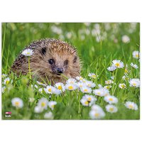 VELOFLEX Schreibtischunterlage Igel Kunststoff 50,0 x 35,0 cm, 1 St. von VELOFLEX
