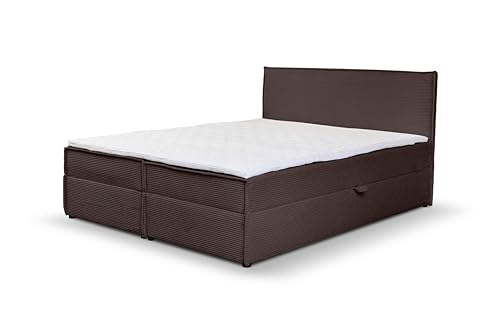 VENASI MÖBEL Gloria Boxspringbett mit Bettkästen H2/H3 Matratze und Topper Cord-Stoff (Braun, 140 x 200 cm) von VENASI MÖBEL