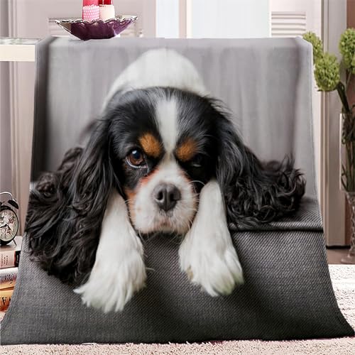 Flauschig Weich Kuscheldecken, Herbst Winter Warme Flanelldecke für Bett und Couch 180x200cm Cavalier King Charles Spaniel Flanelldecke als Sofadecke Wohndecke oder Tagesdecke von VENESS