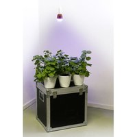 Venso Ecosolutions - Venso Pflanzenlampe 113 mm 230 v E27 7 w Neutralweiß Glühlampenform 1 St. Venso Ecosolutions - Venso Pflanzenlampe 113 mm 230 v E27 7 w Neutralweiß Glühlampenform 1 St. von VENSO ECOSOLUTIONS