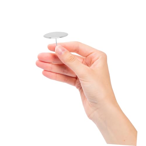 VERDANVERSE 6 Stück Teiliges Edelstahl Cake Flower Nails für Tortendekoration Wiederverwendbare Stabile Backnadeln als Backzubehör für Anfänger Perfektes Deko Zubehör Torten von VERDANVERSE