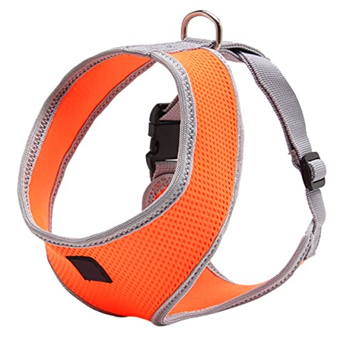 VERDANVERSE Hundegeschirr Brustgeschirr mit Gepolsterter Weste Orange Komfortabel Gepolstert Metallring für Leinenbefestigung Sicherer Haustier für und Lauftraining VERDANVERSE Hundegeschirr Brustgeschirr mit Gepolsterter Weste Orange Komfortabel Gepolstert Metallring für Leinenbefestigung Sicherer Haustier für und Lauftraining von VERDANVERSE