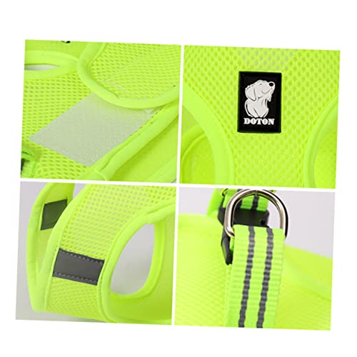 VERDANVERSE Katzen Brustgeschirr Atmungsaktives Verstellbares Haustiergeschirr Fruchtgrün Xs für und für Kleine Katzen und Haustiere VERDANVERSE Katzen Brustgeschirr Atmungsaktives Verstellbares Haustiergeschirr Fruchtgrün Xs für und für Kleine Katzen und Haustiere von VERDANVERSE