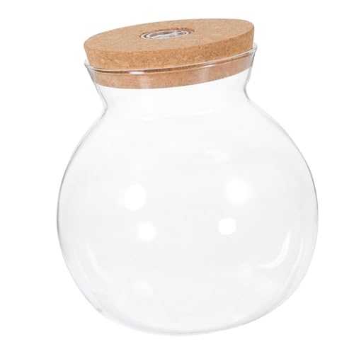 VERDANVERSE LED Glasflasche mit LED Licht Aquarium Flaschengarten für DIY Mikro Landschaften Kompakte Ökologische Dekoflasche für Transparent Leicht zu Reinigen Vielseitig Einsetzbar von VERDANVERSE