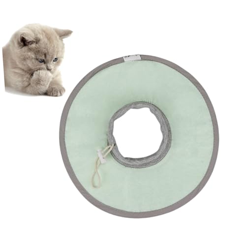 VERDANVERSE Leichtes Atmungsaktives Wasserdichtes Elizabethan Verstellbar Schützend Weicher Schutzkragen für nach Operation Grün VERDANVERSE Leichtes Atmungsaktives Wasserdichtes Elizabethan Verstellbar Schützend Weicher Schutzkragen für nach Operation Grün von VERDANVERSE