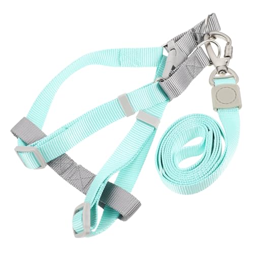 VERDANVERSE Leichtes Verstellbares Hundegeschirr mit Doppeltem D Ring und Ausbruchsicherem Design Inklusive Praktischer Hundeleine für Welpen und Outdoor spaziergänge Komfortabel und Kompakt VERDANVERSE Leichtes Verstellbares Hundegeschirr mit Doppeltem D Ring und Ausbruchsicherem Design Inklusive Praktischer Hundeleine für Welpen und Outdoor spaziergänge Komfortabel und Kompakt von VERDANVERSE