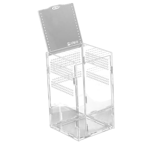 VERDANVERSE Magnetisches Transparentes Terrarium Transparentes Reptiliengehege Langlebiges Reptilienzuchtbehälter Leicht zu Reinigen Geeignet für Echsen Spinnen Schlangen und Kleine VERDANVERSE Magnetisches Transparentes Terrarium Transparentes Reptiliengehege Langlebiges Reptilienzuchtbehälter Leicht zu Reinigen Geeignet für Echsen Spinnen Schlangen und Kleine von VERDANVERSE