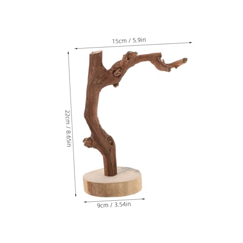 VERDANVERSE Natürlicher Papageien Stand AST aus Holz mit Stabilem Sockel Hoher Vogelkäfig Sitzstange für Wellensittiche Nymphensittiche und Papageien Rutschfestes Vogelspielzeug für Tisch und VERDANVERSE Natürlicher Papageien Stand AST aus Holz mit Stabilem Sockel Hoher Vogelkäfig Sitzstange für Wellensittiche Nymphensittiche und Papageien Rutschfestes Vogelspielzeug für Tisch und von VERDANVERSE