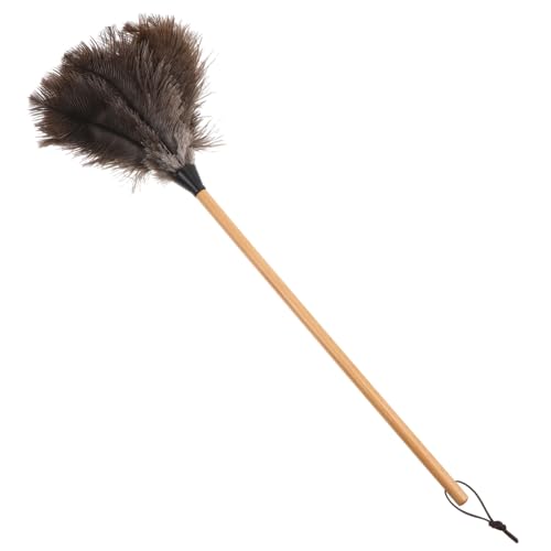 VERDANVERSE Ostrich Staubwedel mit Holzgriff Weiches Reinigungswerkzeug für Zuhause und Büro für Schwer Erreichbare Stellen und Schonendes Abstauben Khaki VERDANVERSE Ostrich Staubwedel mit Holzgriff Weiches Reinigungswerkzeug für Zuhause und Büro für Schwer Erreichbare Stellen und Schonendes Abstauben Khaki von VERDANVERSE