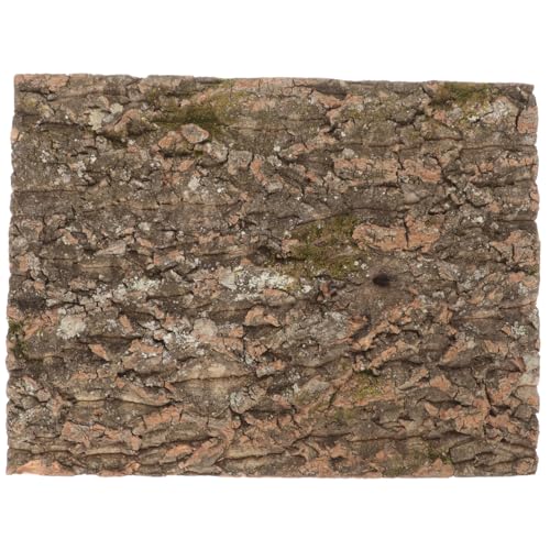 VERDANVERSE Reptilien Korkrinde Plattform Terrarium Dekoration für Schildkröten und Kletterreptilien Natürliche Klettermatte aus Langlebigem Kork für Kreative und Trainingsplattform VERDANVERSE Reptilien Korkrinde Plattform Terrarium Dekoration für Schildkröten und Kletterreptilien Natürliche Klettermatte aus Langlebigem Kork für Kreative und Trainingsplattform von VERDANVERSE