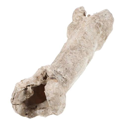 VERDANVERSE Reptilien Versteck Höhle aus Harz Knochenform Unterschlupf für Kleine Reptilien und Kleintiere Dekoratives Terrarium Zubehör Versteck mit Natürlicher VERDANVERSE Reptilien Versteck Höhle aus Harz Knochenform Unterschlupf für Kleine Reptilien und Kleintiere Dekoratives Terrarium Zubehör Versteck mit Natürlicher von VERDANVERSE