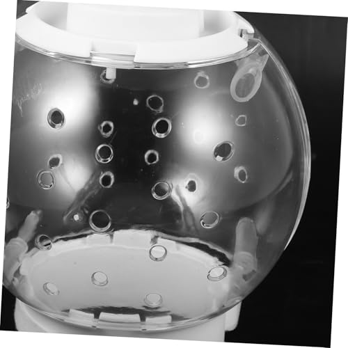 VERDANVERSE Schützender Atmungsaktiver Katzen Helm für Kätzchen Beugt Beißen vor Weicher Schutzkragen für Hunde und Katzen zur Genesung nach Operationen Komfortabel und Sicher von VERDANVERSE