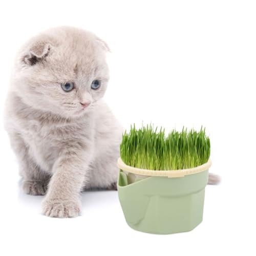 VERDANVERSE Soilless Cat Grass Pflanzbecher Leicht Robust Hydroponisch Katzenminze Topf für Zuhause Praktisches Katzenpflanzen mit Optimaler Bewässerung und Nährstoffversorgung VERDANVERSE Soilless Cat Grass Pflanzbecher Leicht Robust Hydroponisch Katzenminze Topf für Zuhause Praktisches Katzenpflanzen mit Optimaler Bewässerung und Nährstoffversorgung von VERDANVERSE