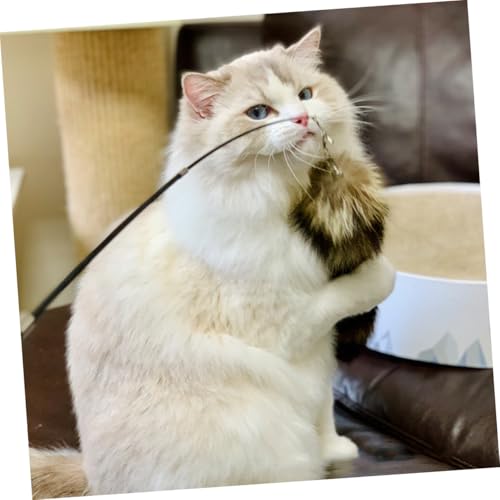 VERDANVERSE Teleskopische Katzenangel Ultra Langer Katzenstab Interaktives Katzenspielzeug für Kätzchen Indoor Katzenunterhaltung Robust Langlebig VERDANVERSE Teleskopische Katzenangel Ultra Langer Katzenstab Interaktives Katzenspielzeug für Kätzchen Indoor Katzenunterhaltung Robust Langlebig von VERDANVERSE