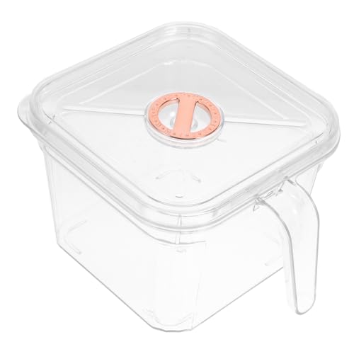 VERDANVERSE Transparentes Aquarium mit Sicherem Deckel und Griff Bruchsichere Betta Fischschale für Schreibtisch oder Regal Kleines Fischglas zur Dekoration Einfach zu Reinigen und Sofort von VERDANVERSE