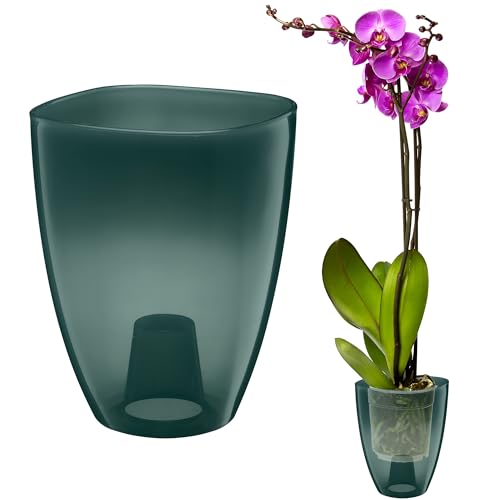 VERDENIA KAJA Orchideentopf – Minimalistisches Design – Leicht, für den Innenbereich, Hochwertiges Polypropylen, Transparente Oberfläche – Praktisch und Funktional – 12x12x17cm – Dunkelgrün von VERDENIA