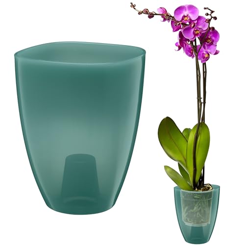 VERDENIA KAJA Orchideentopf – Minimalistisches Design – Leicht, für den Innenbereich, Hochwertiges Polypropylen, Transparente Oberfläche – Praktisch und Funktional – 12x12x17cm – Grün von VERDENIA