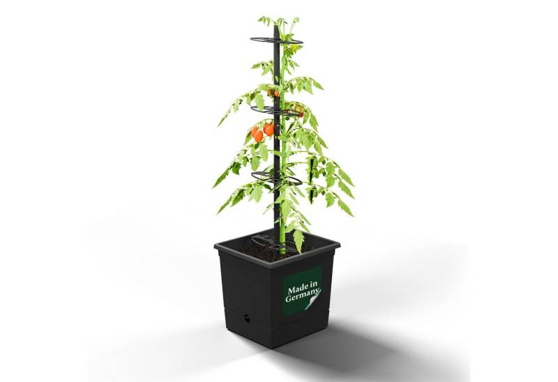 VERDOBA Pflanzkübel Nachhaltiger Tomatentopf Tomaten Anzuchtset Saatgut & Erde - Rankhilfe von VERDOBA