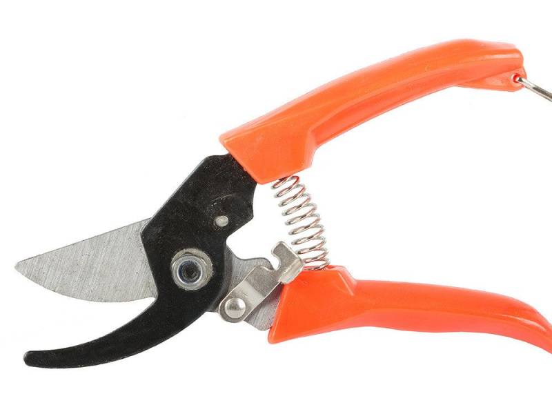 VERK GROUP Gartenschere Gartenschere Astschere Blumenschere Rosenschere Pflanzenschere Rebsche, (1-tlg) von VERK GROUP