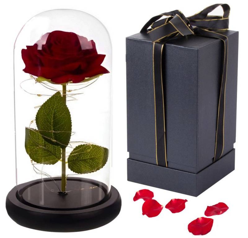 VERK GROUP Geschenkbox Ewige Rose im Glas Rose Geschenke für Frauen von VERK GROUP