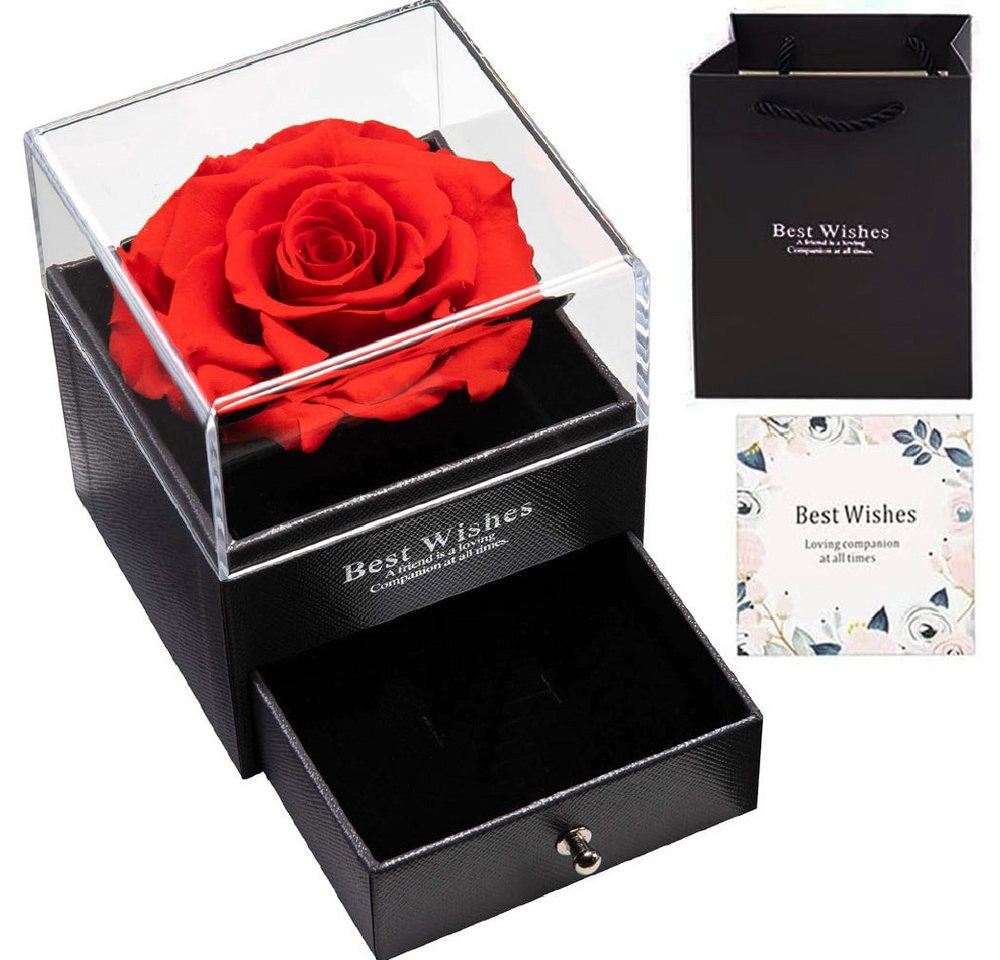 VERK GROUP Geschenkbox Ewige Rose in Geschenkbox mit Schmuck Halsketten Schublade von VERK GROUP