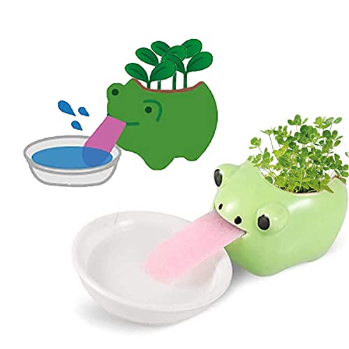 VERLIAN Mini Selbstbewässernde Sukkulentententöpfe, 1 Packung Tier-Keramik-Blumentopf-Behälter mit Zunge und Ablaufloch, kreativer kleiner Kaktus-Blumentopf (Frosch) von VERLIAN