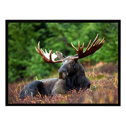 VERO HOME 10889 Fußmatte | Motiv Tierwelt Elch in Wildnis | Für Ihren Eingangs-Bereich | Maße: 80 x 60 cm von VERO HOME