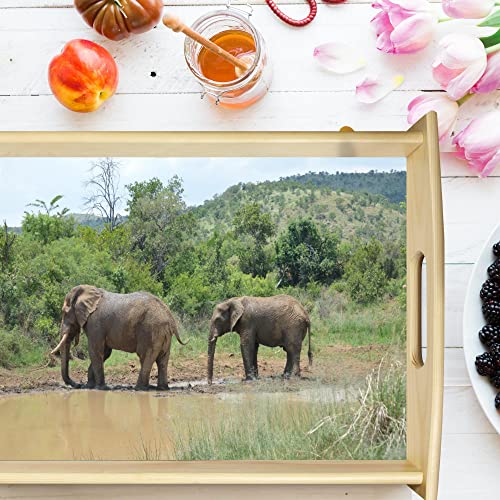 VERO HOME 11073 Holz-Tablett | Motiv Natur Elefant | Servier-Tablett für jeden Anlass | Maße: 48 x 36 cm von VERO HOME