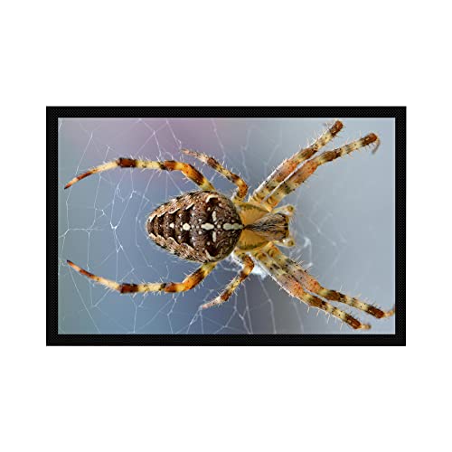 VERO HOME 13100 Fußmatte | Motiv Tierwelt Spinne | Für Ihren Eingangs-Bereich | Maße: 60 x 40 cm von VERO HOME