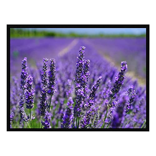 VERO HOME 13248 Fußmatte | Motiv Natur Lavendel | Für Ihren Eingangs-Bereich | Maße: 80 x 60 cm von VERO HOME