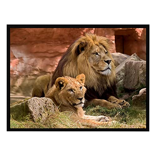 VERO HOME 15299 Fußmatte | Motiv Natur Löwen | Für Ihren Eingangs-Bereich | Maße: 80 x 60 cm von VERO HOME