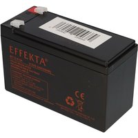 Verschiedene - 24V 2x 12V 9,5Ah Eco Sprinter Scooter Elektroroller Blei Akku agm von VERSCHIEDENE