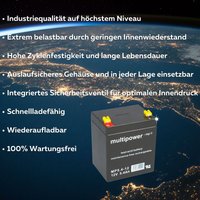 Verschiedene - 2er Set, 12V, 5,4Ah Batterien für rmt Cielo V4 und OT2 von VERSCHIEDENE