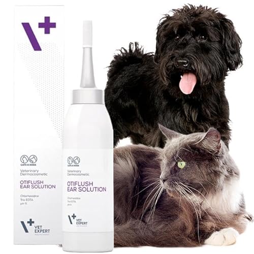 VETEXPERT Hypoallergenic Shampoo 250ml Dermokosmetisches TierpflegeShampoo mit empfindlicher Haut, Anfälligkeit für Reizungen, Gefühl, Tauschung oder Unverträglichkeit anderer Shampoo von Vet Expert