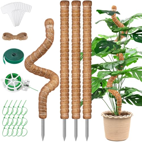 VEVOQIM Pflanzenstütze, 4 Stück 65CM Monstera Rankhilfe,Pflanzstab Rankhilfen für Kletterpflanzen,Biegsame moosstab für Monstera,Natürlicher Kokosstab mit Zubehör von Zimmerpflanzen VEVOQIM Pflanzenstütze, 4 Stück 65CM Monstera Rankhilfe,Pflanzstab Rankhilfen für Kletterpflanzen,Biegsame moosstab für Monstera,Natürlicher Kokosstab mit Zubehör von Zimmerpflanzen von VEVOQIM