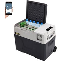 VEVOR 30L Autokühlschrank Kompressorkühlbox Edelstahl Urlaub Isolierbox Mini Kühlschrank Kühlbox Auto und Steckdose VEVOR 30L Autokühlschrank Kompressorkühlbox Edelstahl Urlaub Isolierbox Mini Kühlschrank Kühlbox Auto und Steckdose von VEVOR