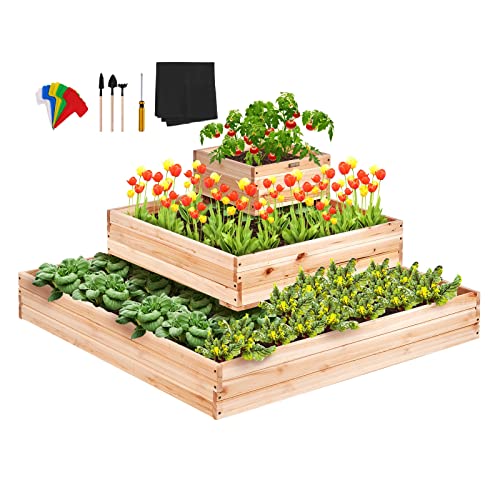VEVOR Hochbeet 113 x 113 x 51 cm Pflanzkasten Tannenholz Gemüsebeet Blumenkasten Kräuterbeet Gartenbeet Pflanzkübel Ideal für den Anbau von Gemüse, Obst, Kräutern, Sukkulenten usw. VEVOR Hochbeet 113 x 113 x 51 cm Pflanzkasten Tannenholz Gemüsebeet Blumenkasten Kräuterbeet Gartenbeet Pflanzkübel Ideal für den Anbau von Gemüse, Obst, Kräutern, Sukkulenten usw. von VEVOR