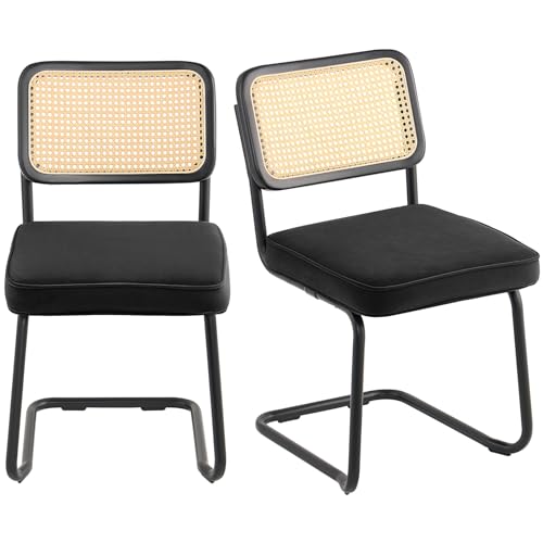 VEVOR Rattanstuhl Moderner Gartenstuhl mit Armlehne, 2 STK. Polsterstuhl mit Rattanrückenlehne, Garten Balkon Terrasse Stapelstuhl Gartensessel Wohnzimmer, Schlafzimmer, Lesezimmer Schwarz von VEVOR