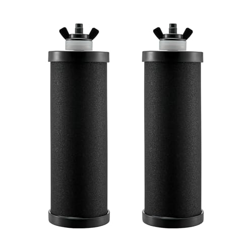 VEVOR Wasserfilter-Ersatz Reinigungselemente Ersatzfilter 2er-Pack (2 Aktivkohlefilter), Schwerkraft-Wasserfiltersystem-Ersatz, kompatibel mit den meisten Marken, leicht austauschbarer Wasserfilter von VEVOR