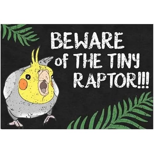 Fußmatte für den Innenbereich, Aufschrift "Beware of The Tiny Raptor Nymphensittich", Retro, rutschfest, Willkommens-Fußmatte, waschbare Eingangsmatte für den Eingangsbereich, Veranda, 50 x 80 cm von VEWETOL