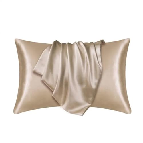 VFIDPSU Seidenkissenbezug 2PCS Farbe Seide Kissenbezug Hause Bequeme Kissenbezug Kissen Abdeckung Satin Home Decor(2PCS 05) von VFIDPSU