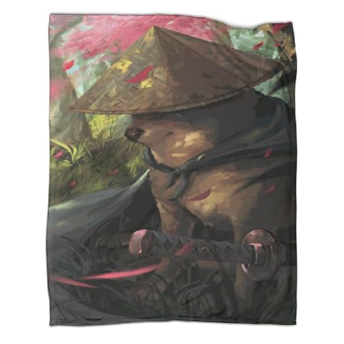 VGDKAOBM Decke 60x80inch(150x200cm) Kuscheldecken Sanft Flanell Weich Fleecedecke Bettüberwurf Lustiger Doge Cheems von VGDKAOBM