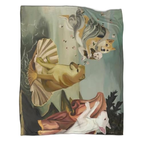 VGDKAOBM Kuscheldecke Lustiger Doge Cheems Reflexion Decke Flauschige Weich Fleecedecke Für Sofa Bett 60x80inch(150x200cm) von VGDKAOBM