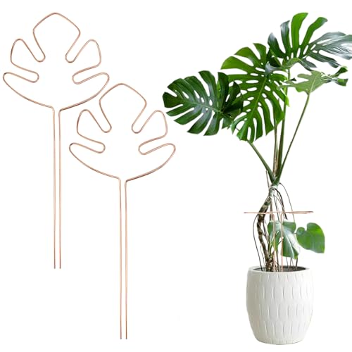 VGECEE Hebterrka Pflanzenstütze 2 Stück Blumenstütze Garten Pflanzenstab Monstera Pflanzenstützstab Pflanzenhalter Mit Einzigartigem Blattdesign Rankhilfe Pflanzen Stütze Blumenhalter VGECEE Hebterrka Pflanzenstütze 2 Stück Blumenstütze Garten Pflanzenstab Monstera Pflanzenstützstab Pflanzenhalter Mit Einzigartigem Blattdesign Rankhilfe Pflanzen Stütze Blumenhalter von VGECEE