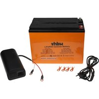 vhbw Akku Bordbatterie für Wohnwagen, Boot, Camping, Wohnmobil (42Ah, 12,8V, LiFePO4) + Ladegerät von VHBW