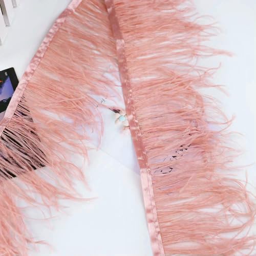 1 Meter natürliches Straußenfeder-Besatzband, 8–10 cm, Federfransen zum Nähen, Basteln, Partykleid, Kleidungsdekoration, Puderrosa, 8–10 cm, 1 Meter 1 Meter natürliches Straußenfeder-Besatzband, 8–10 cm, Federfransen zum Nähen, Basteln, Partykleid, Kleidungsdekoration, Puderrosa, 8–10 cm, 1 Meter von VHEOKG