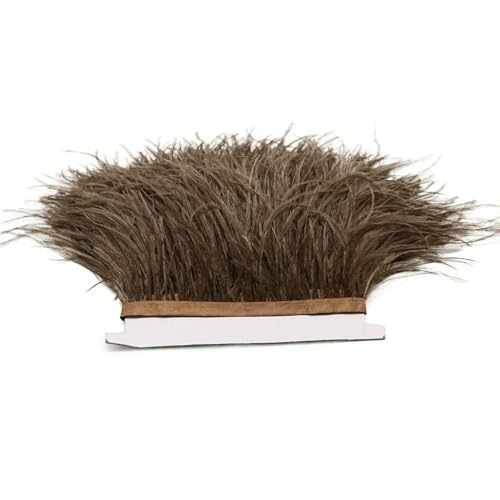 1 m, 5 m, 10 m, 8–10 cm, schwarz-weißes Straußenfederband, mehrfarbige Feder zum Nähen, Basteln, Kleidern, Kleidung, Dekoration, Dunkelkaffee, 5 m 1 m, 5 m, 10 m, 8–10 cm, schwarz-weißes Straußenfederband, mehrfarbige Feder zum Nähen, Basteln, Kleidern, Kleidung, Dekoration, Dunkelkaffee, 5 m von VHEOKG